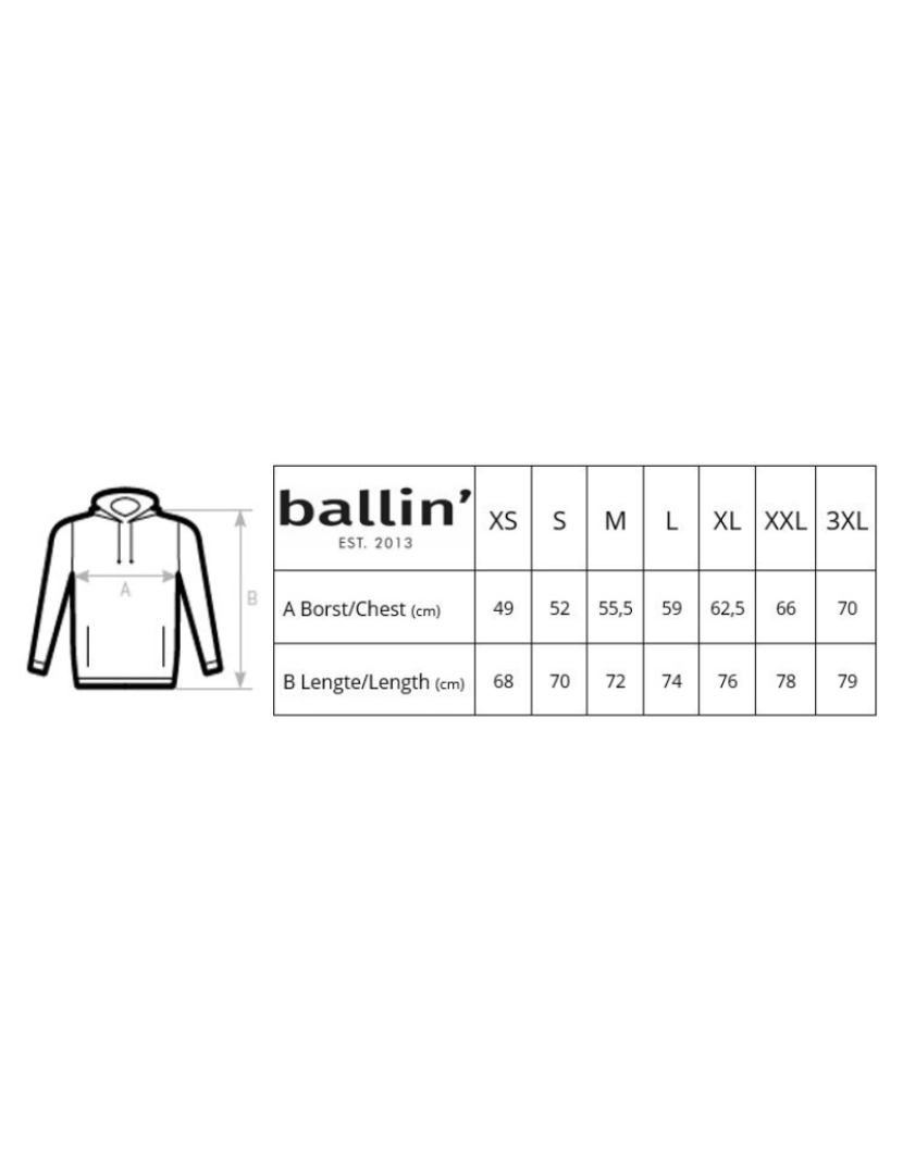 imagem de Ballin Est. 2013 Basic Hoodie Cinza4