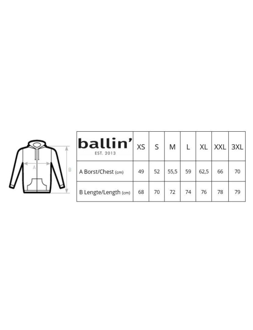 imagem de Ballin Est. 2013 Ziphood Cinza4