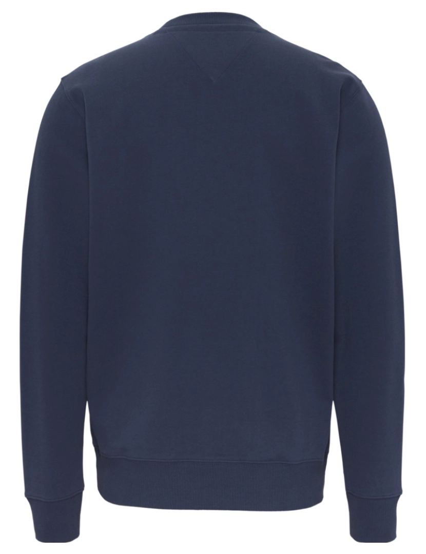 imagem de Tommy Jeans Reg Essential Graphic Crew Sweater Azul3