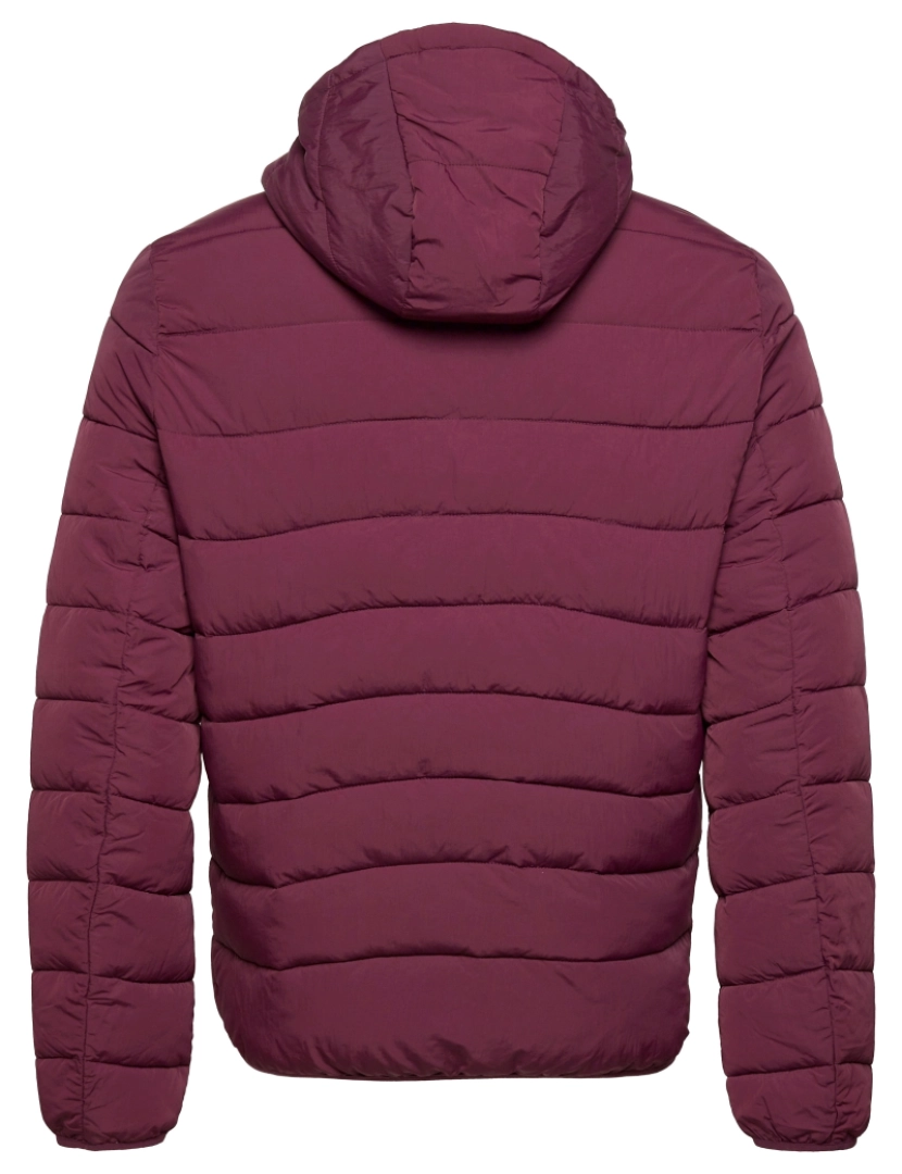 imagem de Lyle & Scott Lightweight Padded Jacket Vermelho3