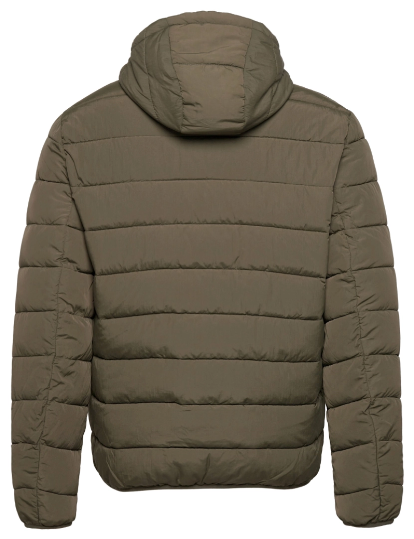 imagem de Lyle & Scott Lightweight Padded Jacket Verde3