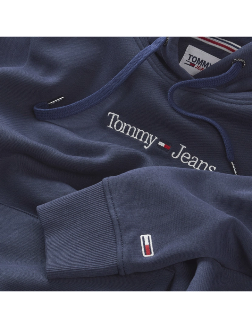 imagem de Tommy Jeans Reg Serif Linear Hoodie Azul4