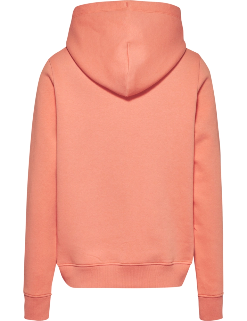 imagem de Tommy Jeans Reg Serif Linear Hoodie Rosa3