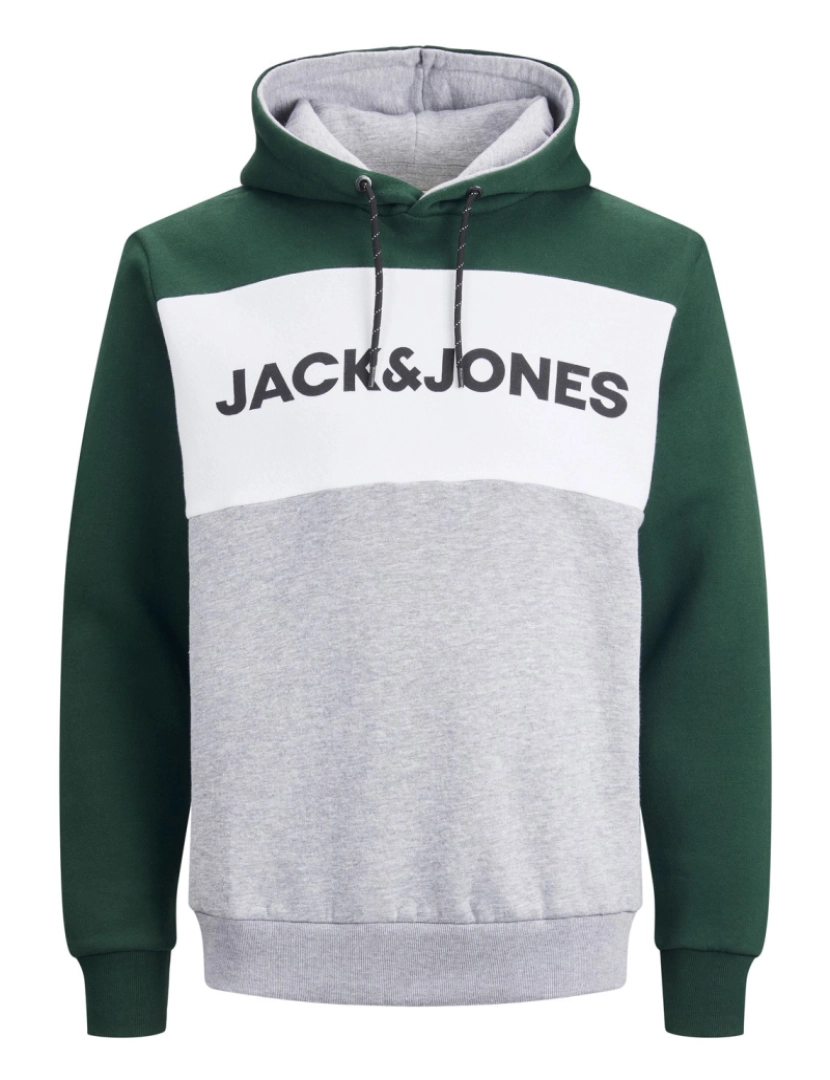 imagem de Jack & Jones JJelogo Blocking Sweat Hood  Verde1