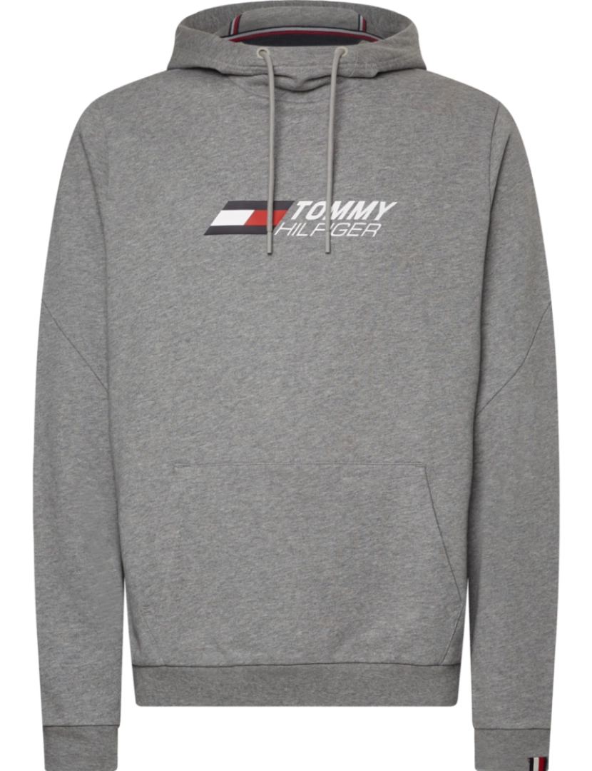 imagem de Tommy Hilfiger Essential Hoodie Cinza2