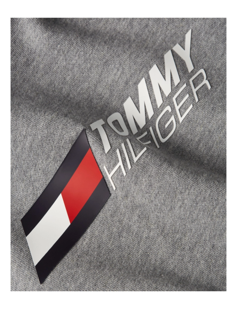 imagem de Tommy Hilfiger Essential Hoodie Cinza4