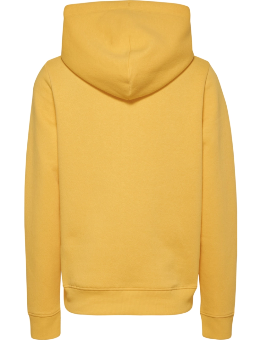 imagem de Tommy Jeans Reg Serif Linear Hoodie Amarelo3