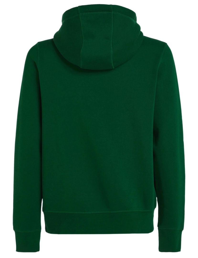 imagem de Tommy Hilfiger Logo Hoodie Verde3