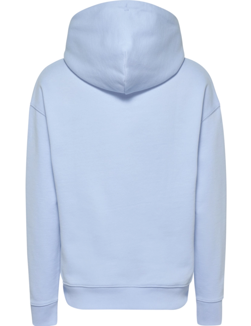 imagem de Tommy Jeans Center Badge Hoodie Azul3