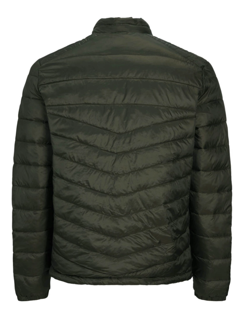 imagem de Jack & Jones Jje Hero Puffer Collar  Verde3