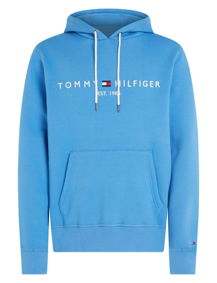 imagem de Tommy Hilfiger Logo Hoodie Azul1