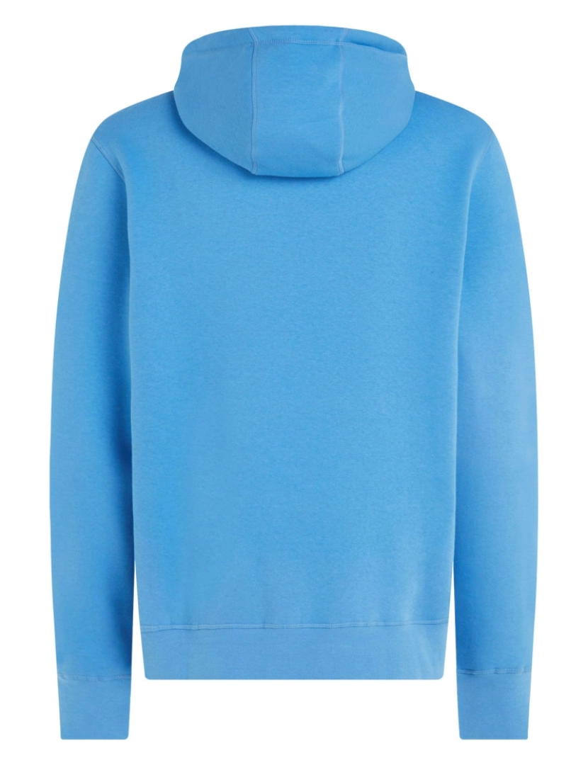 imagem de Tommy Hilfiger Logo Hoodie Azul3