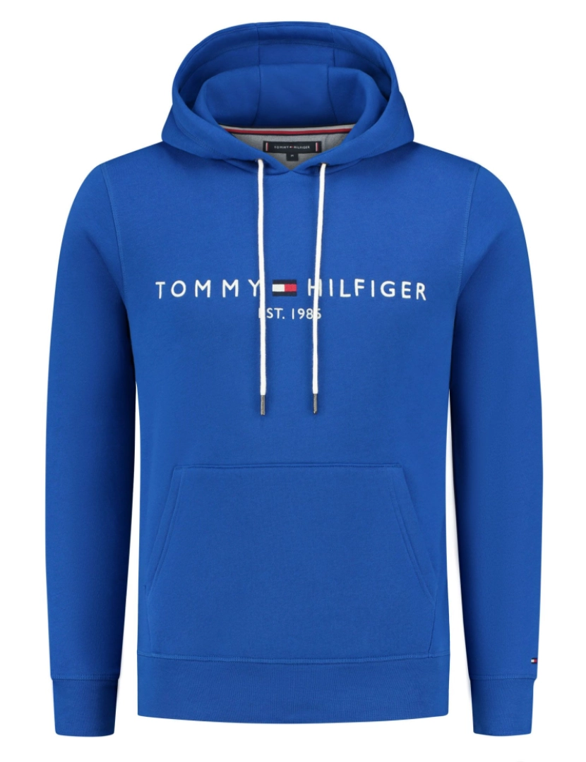 imagem de Tommy Hilfiger Logo Hoodie Azul1