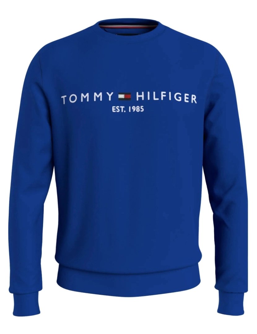 imagem de Tommy Hilfiger Logo sweater Azul1