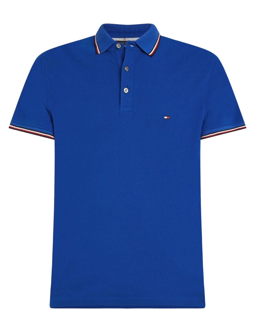 imagem de Tommy Hilfiger Rwb Tipped Slim Polo Azul2