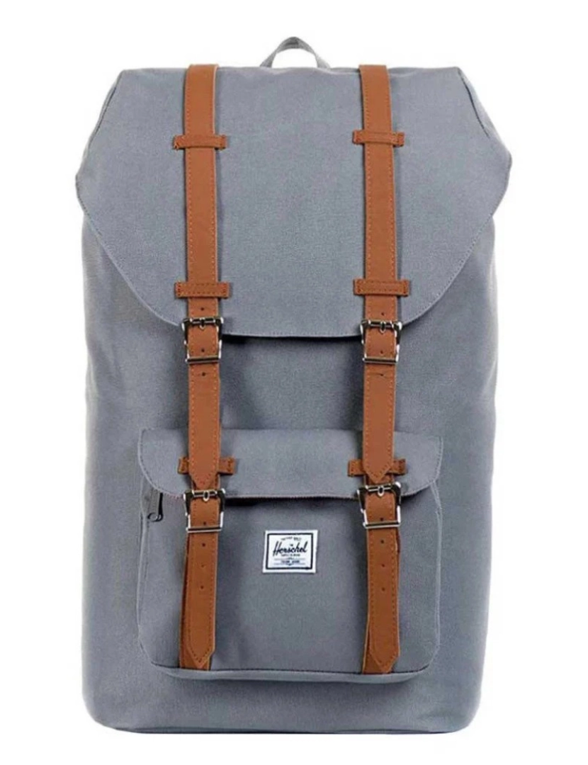 imagem de Herschel Little America Grijs/Tan Cinza2