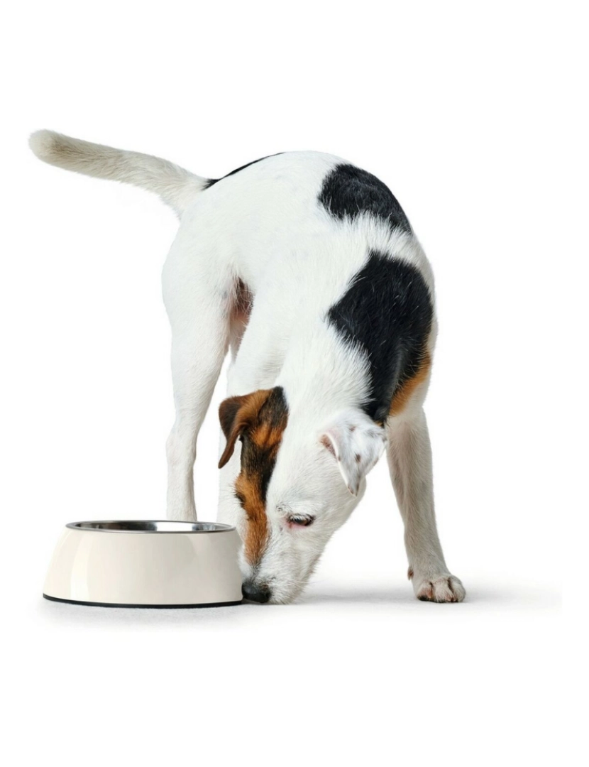 imagem de Comedouro para Cão Hunter Melamina Aço inoxidável Branco 160 ml (14,5 x 14,5 x 7 cm)4