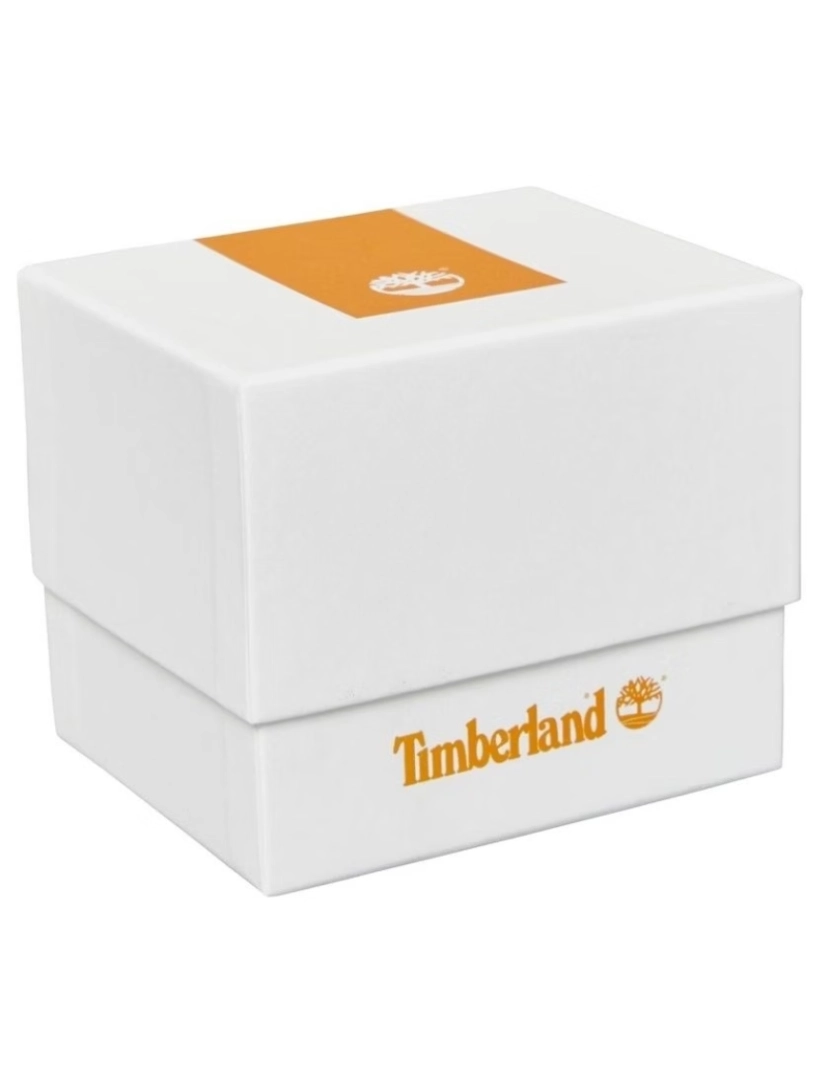 imagem de Relógio Timberland STF TDWGF90024012