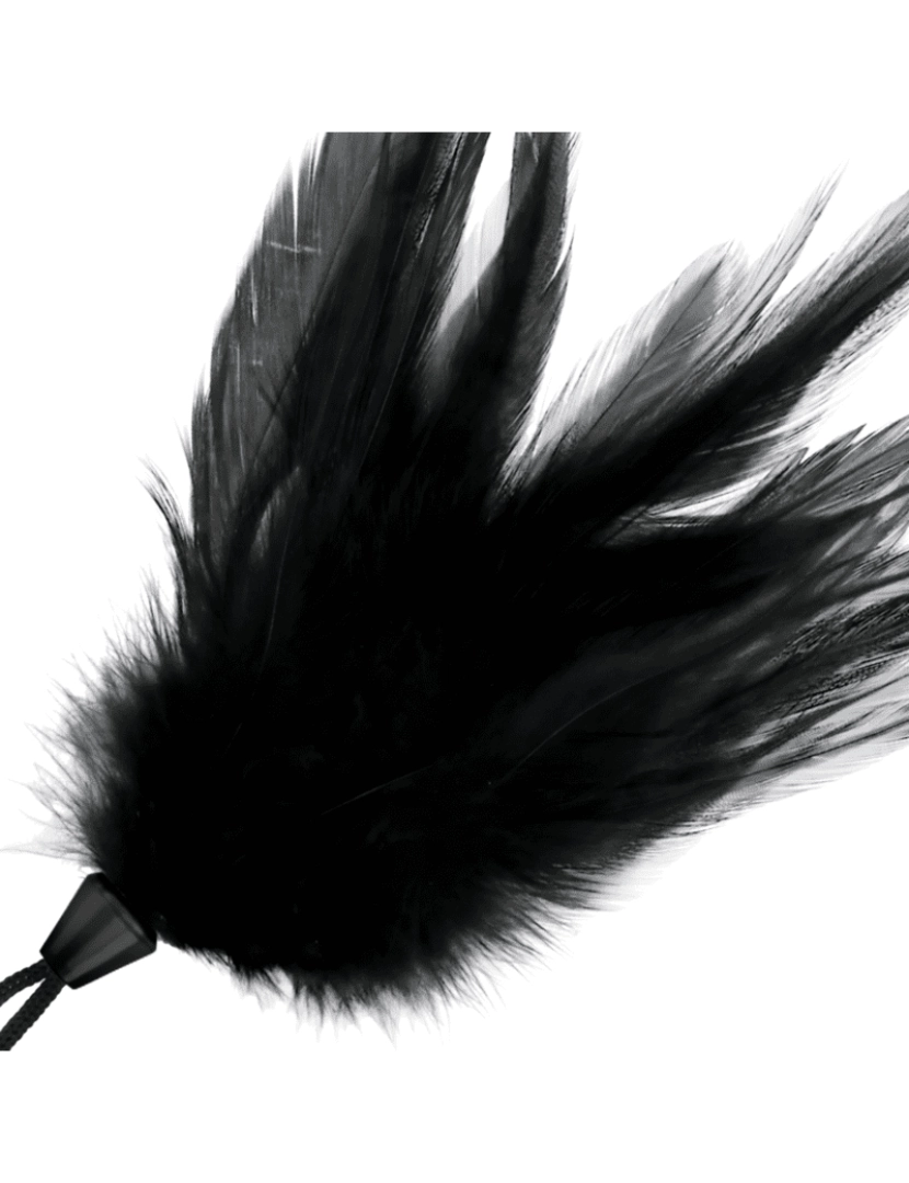 imagem de DARKNESS BLACK FEATHER 17cm1