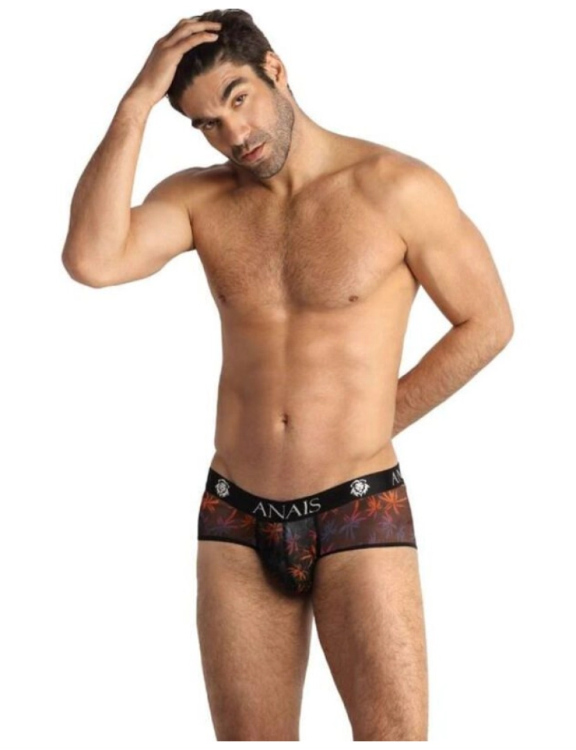 imagem de ANAIS HOMEM - CHILL BOXER BRIEF M1