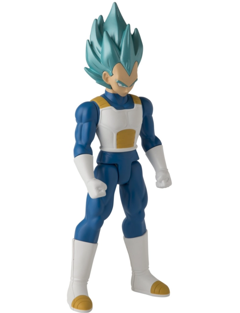 imagem de Limit Breaker - Super Saiyan Blue  Vegeta2