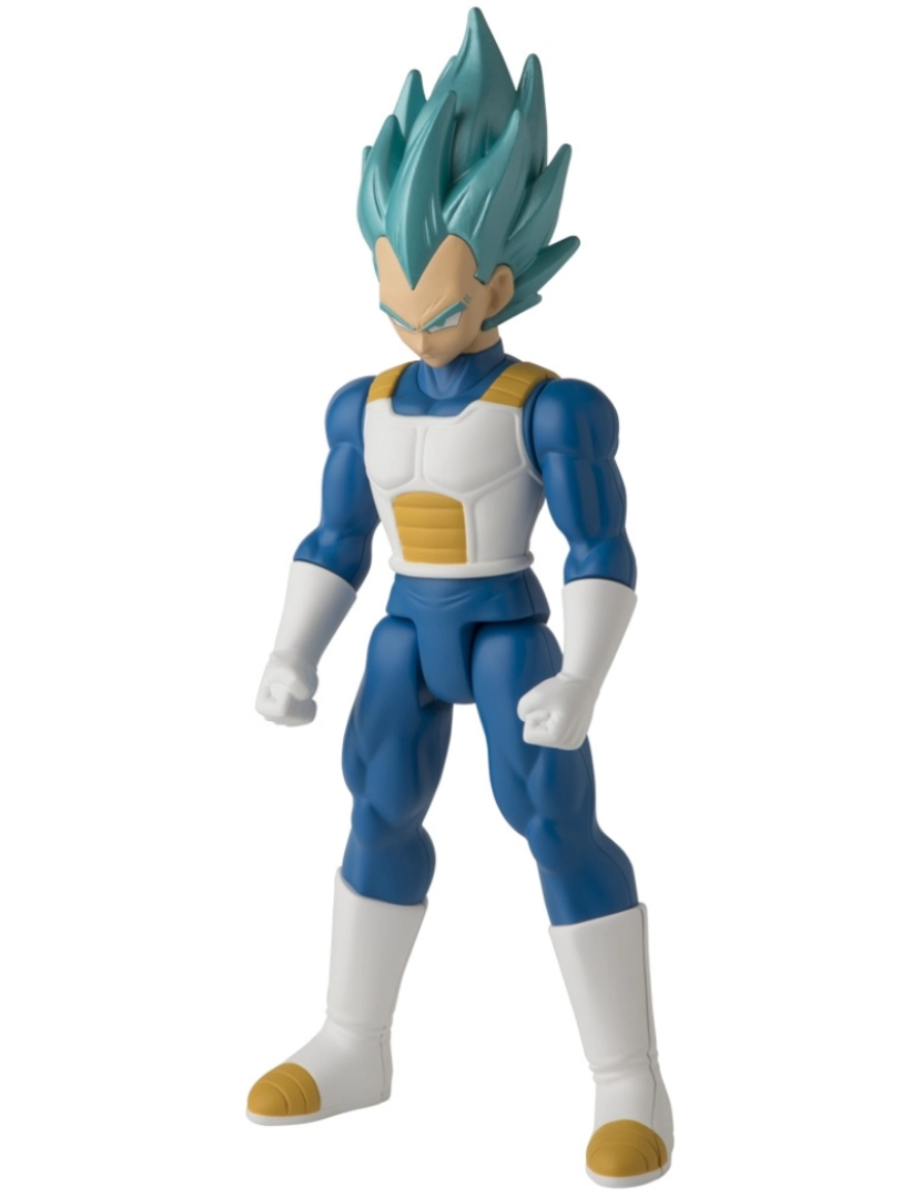 imagem de Limit Breaker - Super Saiyan Blue  Vegeta3