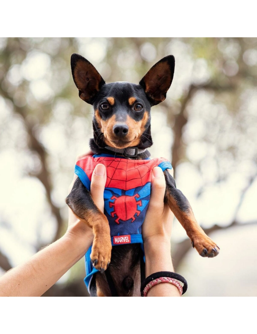 imagem de T-shirt para Cães Spiderman1