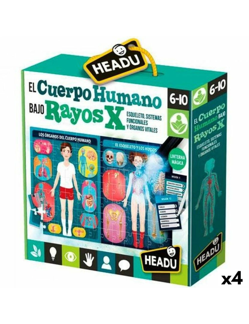 Headu - Jogo Educação Infantil HEADU El cuerpo humano Rayos X (4 Unidades)