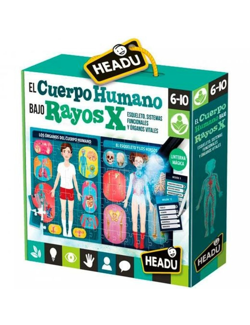 imagem de Jogo Educação Infantil HEADU El cuerpo humano Rayos X (4 Unidades)2