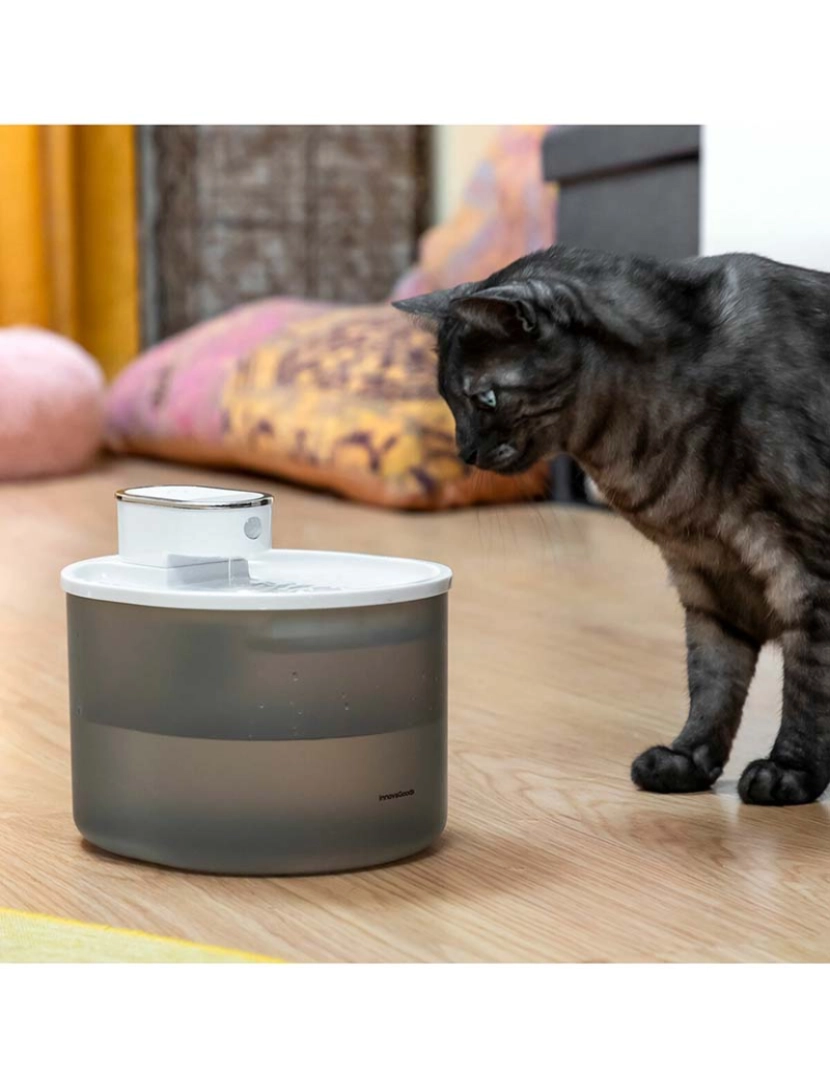 Innovagoods - Fonte para Gato Recarregável com Sensor Refopet InnovaGoods