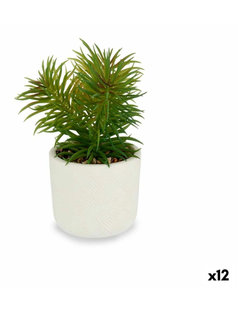 Ibergarden - Planta Decorativa Branco Verde (14 x 20 x 14 cm) (12 Unidades)