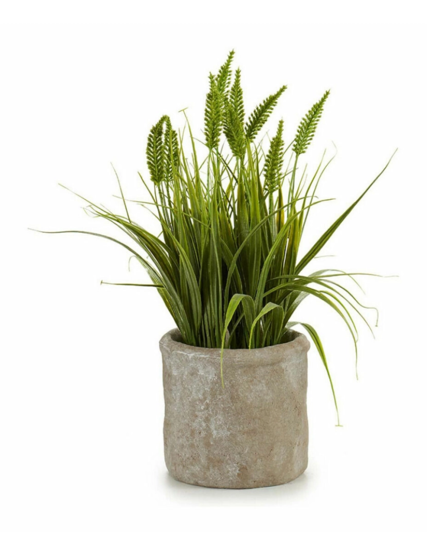 imagem de Planta Decorativa Espiga Plástico 12 x 30 x 12 cm (8 Unidades)3