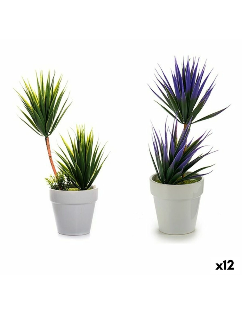 Ibergarden - Planta Decorativa Suculenta Cerâmica Plástico 10 x 30 x 10 cm (12 Unidades)