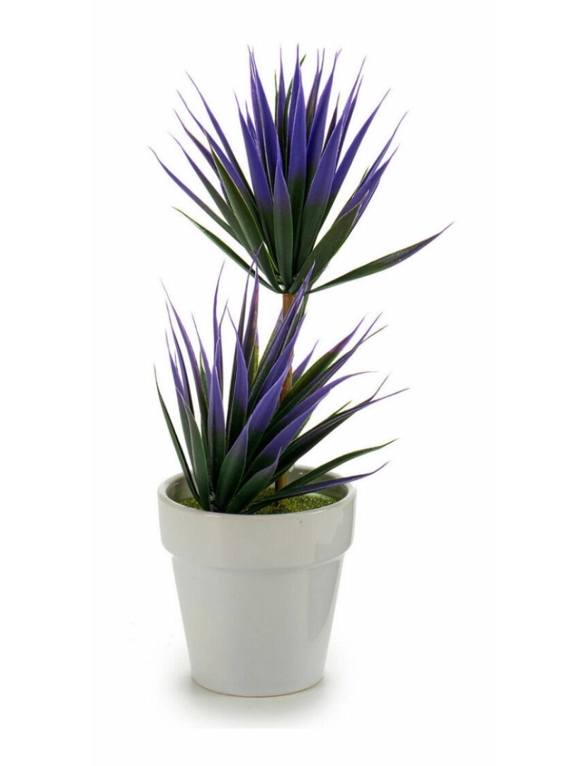 imagem de Planta Decorativa Suculenta Cerâmica Plástico 10 x 30 x 10 cm (12 Unidades)2