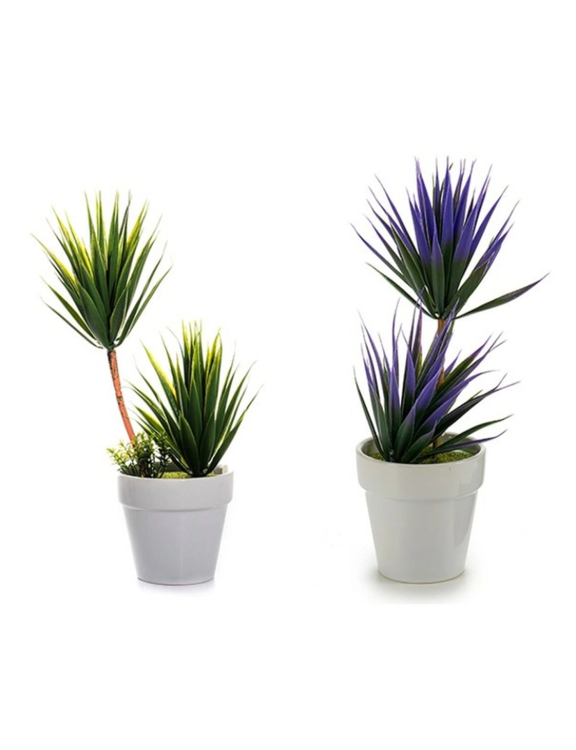 imagem de Planta Decorativa Suculenta Cerâmica Plástico 10 x 30 x 10 cm (12 Unidades)4