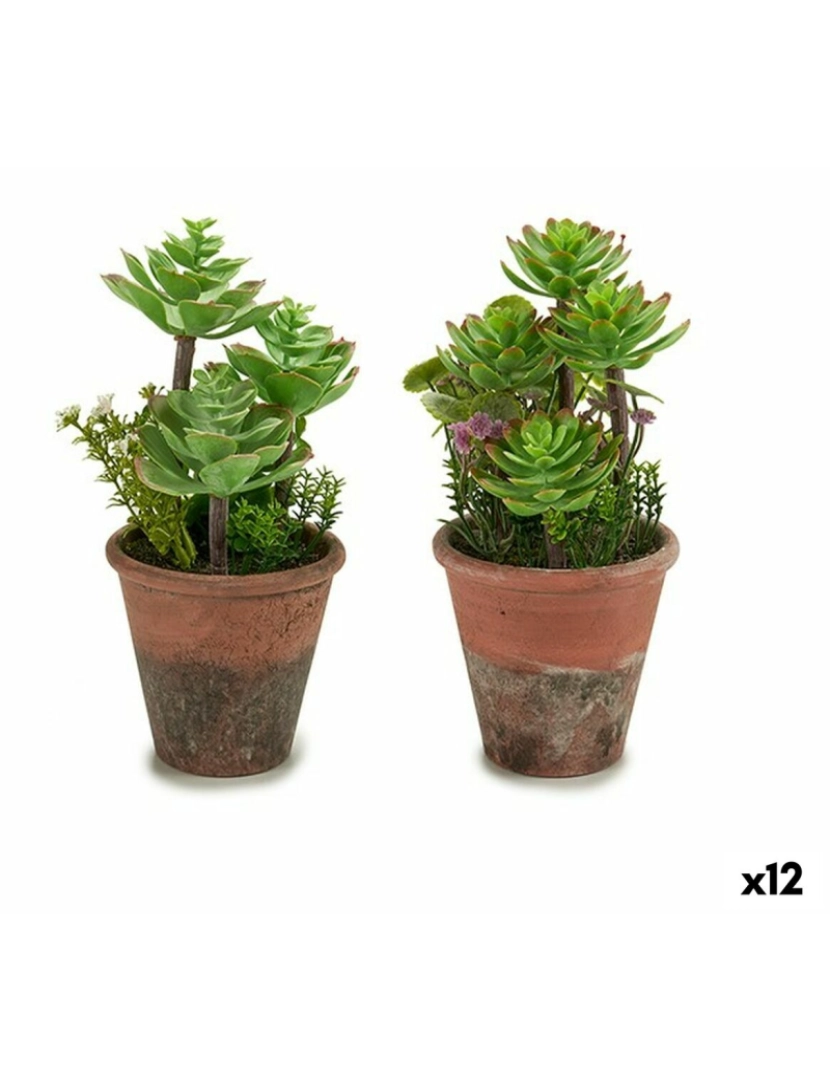Ibergarden - Planta Decorativa Suculenta Plástico 16 x 23 x 16 cm (12 Unidades)