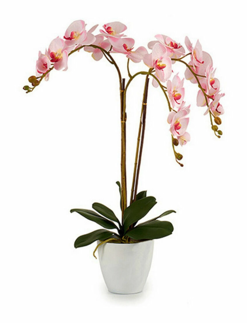 imagem de Planta Decorativa Orquídea Plástico 40 x 77 x 35 cm (2 Unidades)2