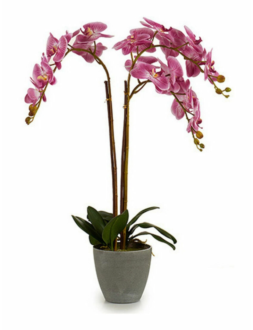 imagem de Planta Decorativa Orquídea Plástico 33 x 77 x 33 cm (2 Unidades)2