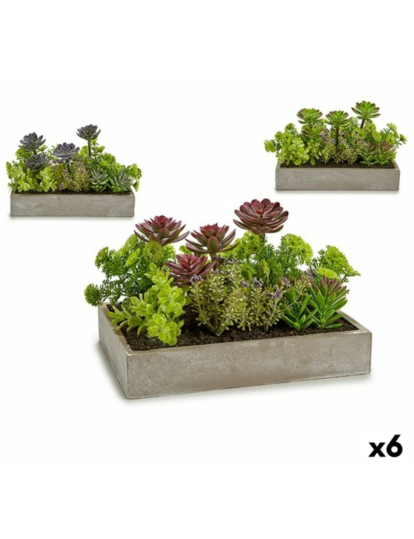 Ibergarden - Planta Decorativa Suculenta Plástico Cimento 16,5 x 20 x 28,5 cm (6 Unidades)