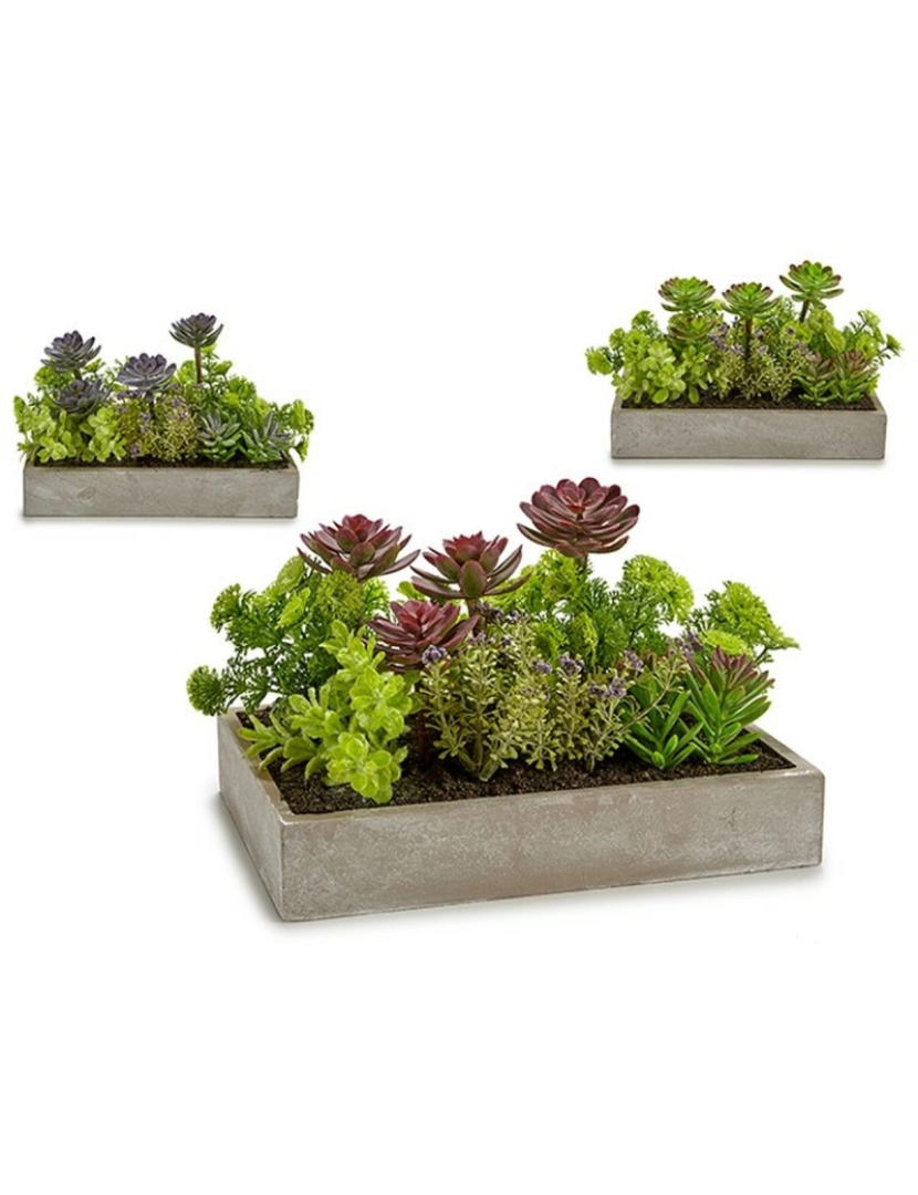 imagem de Planta Decorativa Suculenta Plástico Cimento 16,5 x 20 x 28,5 cm (6 Unidades)3