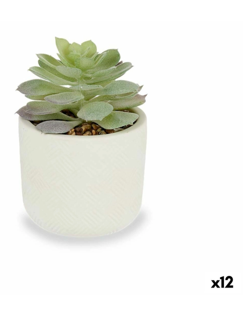 Ibergarden - Planta Decorativa Suculenta Plástico 14 x 13,5 x 14 cm (12 Unidades)
