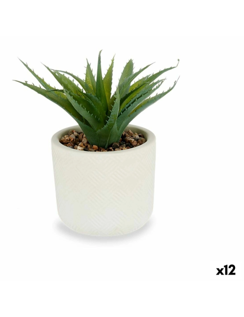 imagem de Planta Decorativa Suculenta Plástico 14 x 18 x 14 cm (12 Unidades)1