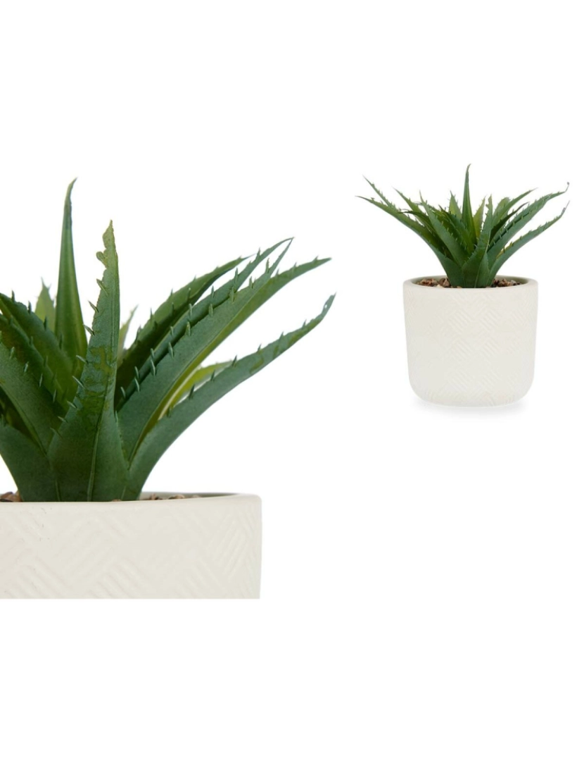imagem de Planta Decorativa Suculenta Plástico 14 x 18 x 14 cm (12 Unidades)3