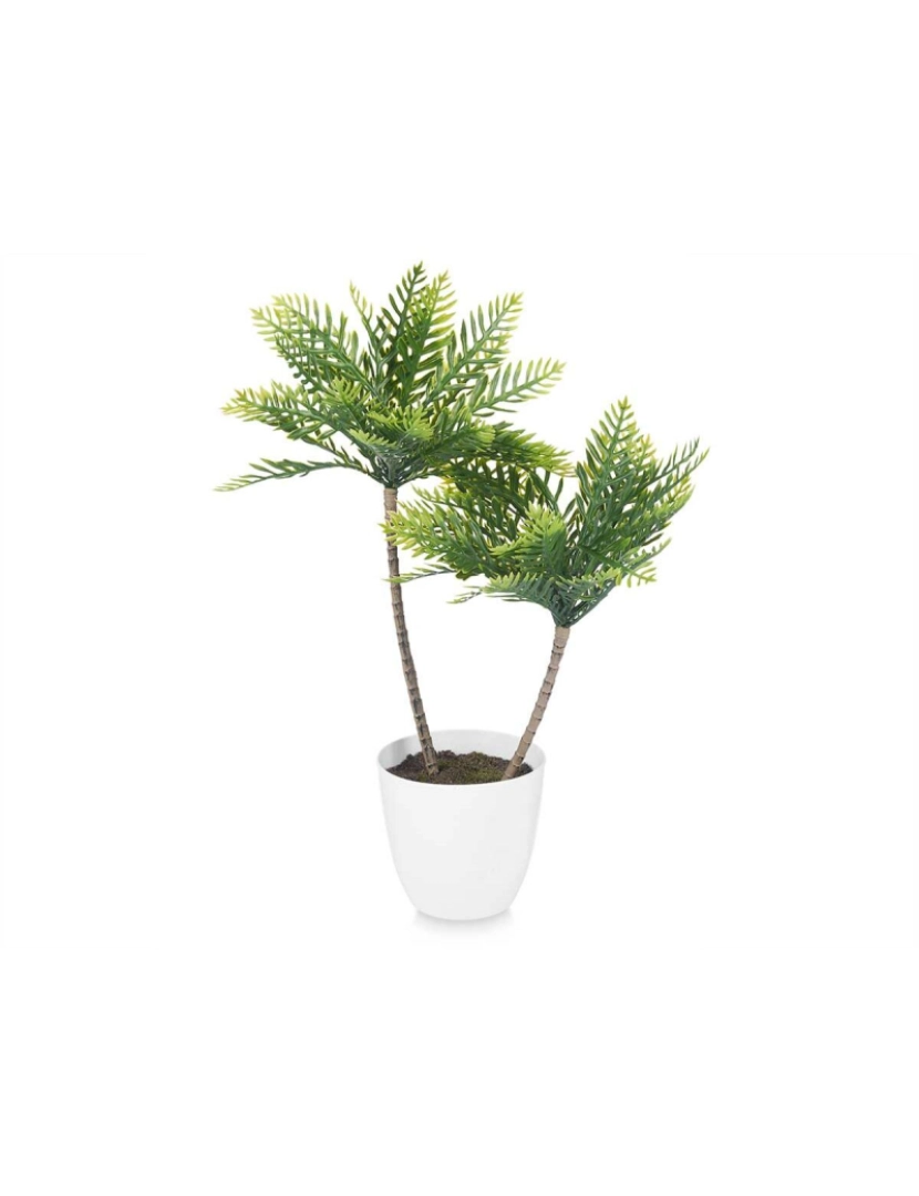 imagem de Planta Decorativa Palmeira Plástico 36 x 55,5 x 24 cm (6 Unidades)2