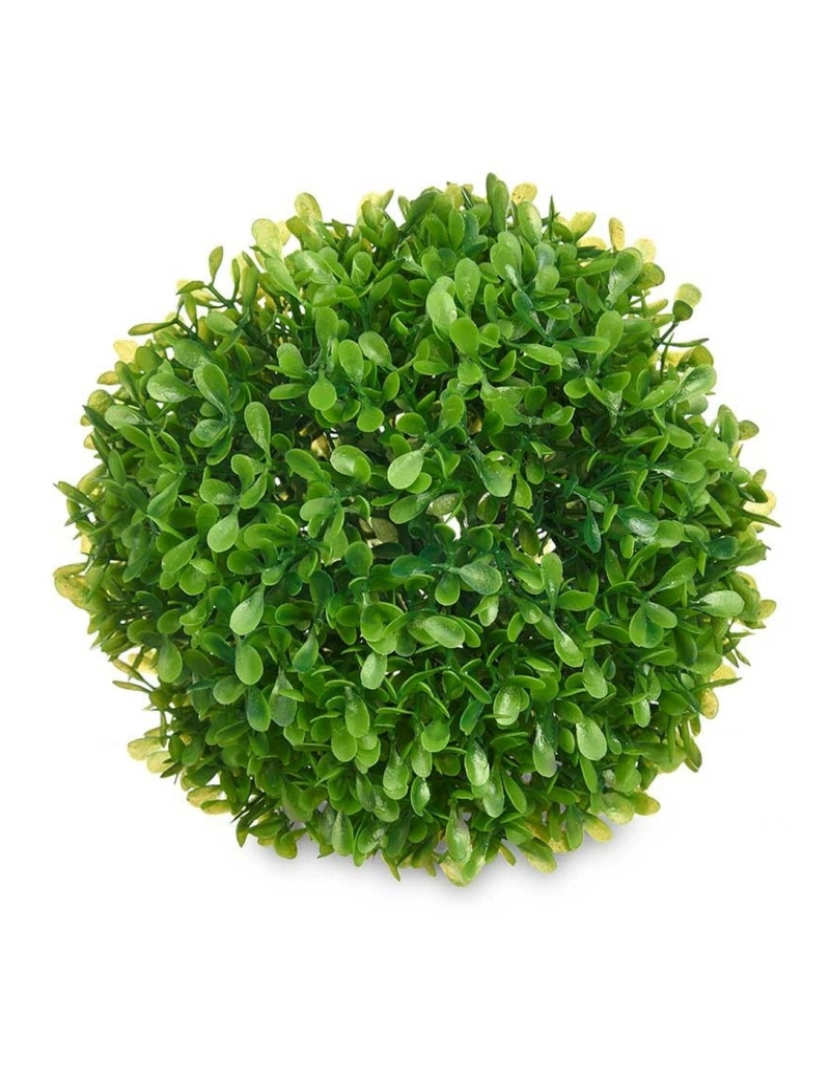 imagem de Planta Decorativa Bol Plástico 17 x 13,5 x 17 cm (12 Unidades)2