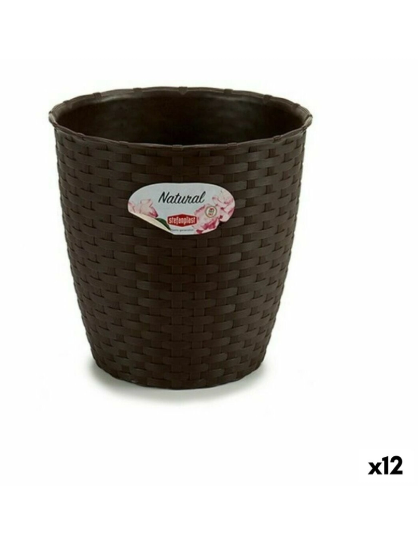 Stefanplast - Vaso Stefanplast Plástico Chocolate 19 x 17,5 x 19 cm (12 Unidades)