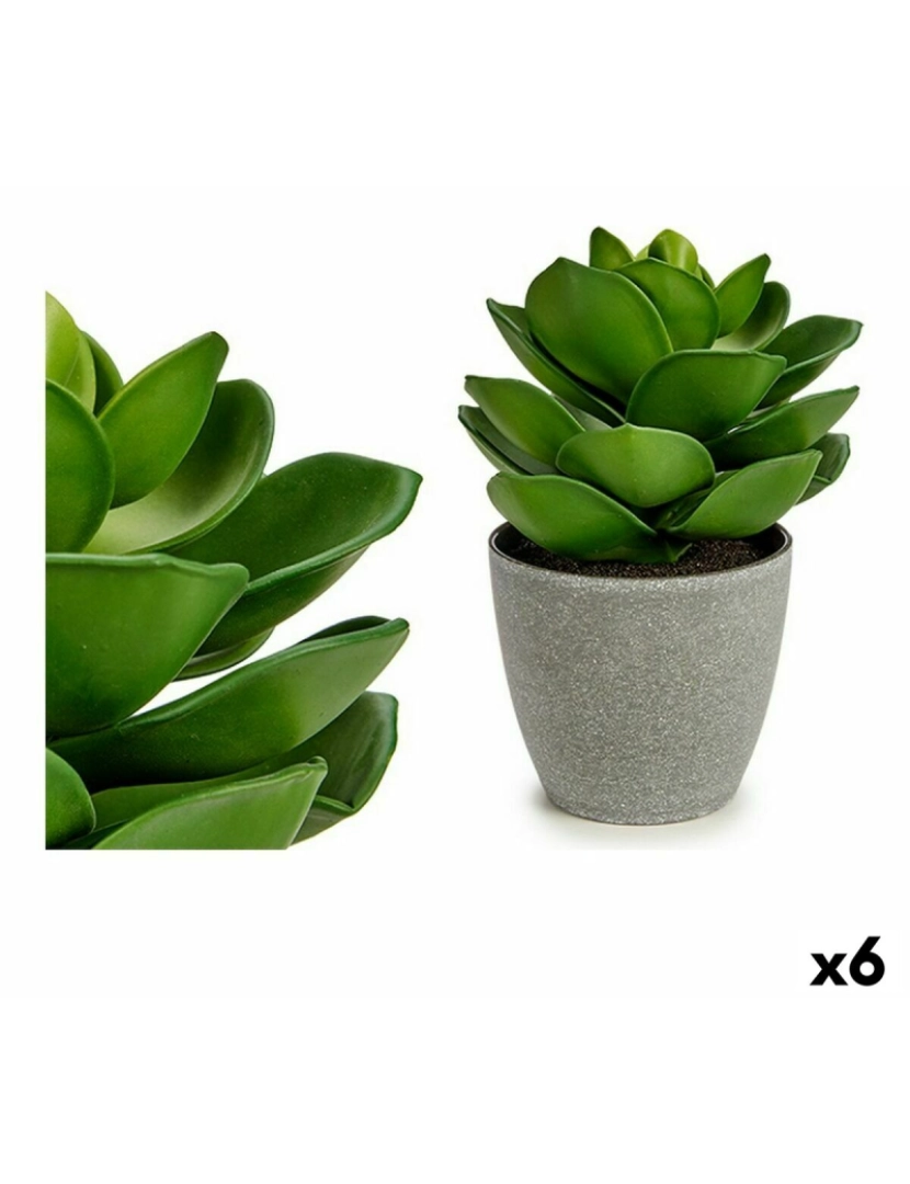 Ibergarden - Planta Decorativa Cinzento Verde (16 x 21 x 16 cm) (6 Unidades)