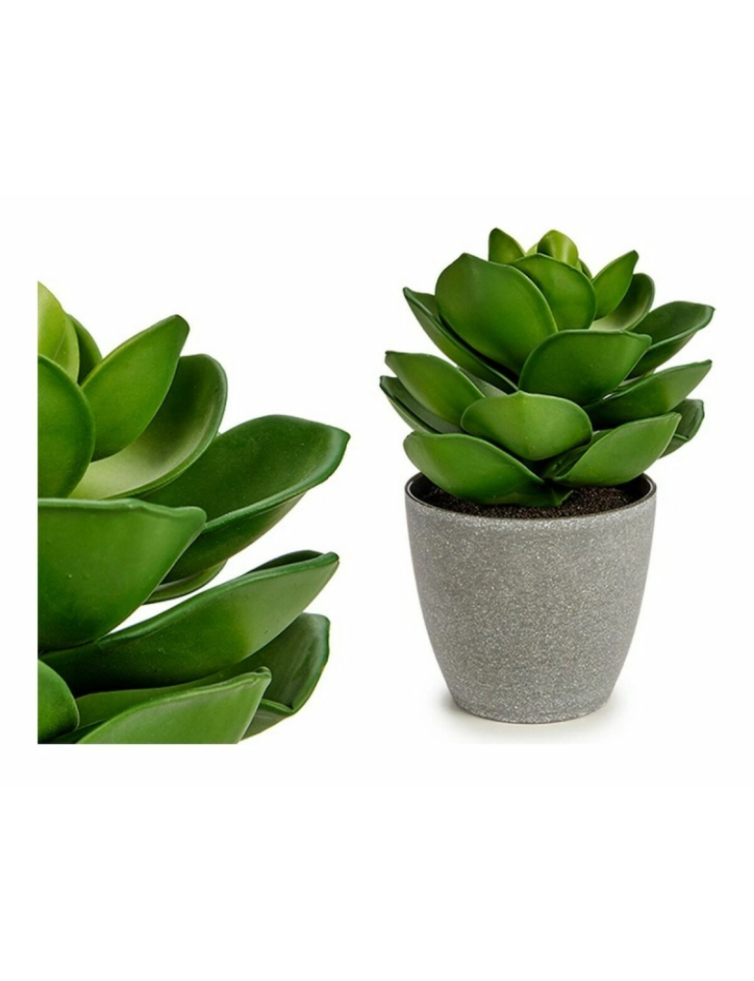 imagem de Planta Decorativa Cinzento Verde (16 x 21 x 16 cm) (6 Unidades)2