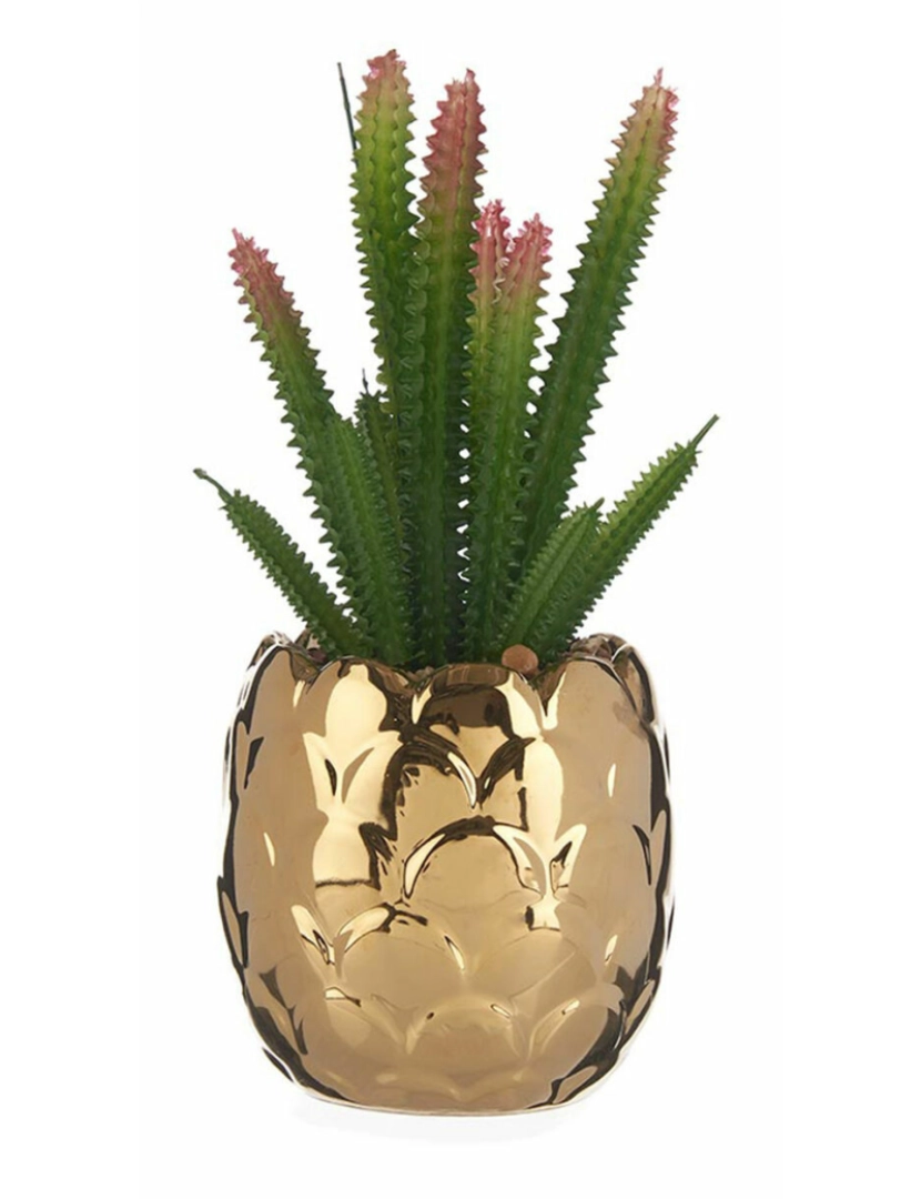 imagem de Planta Decorativa Cerâmica Dourado Catos Verde Plástico 6 Unidades2