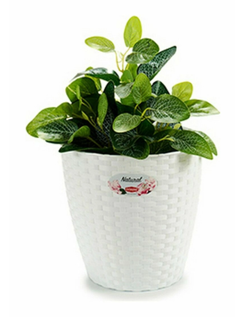 imagem de Plantador Stefanplast Branco Plástico 24 x 22,5 x 24 cm (6 Unidades)3